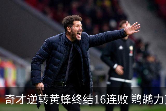 奇才逆转黄蜂终结16连败 鹈鹕力克76人3连胜