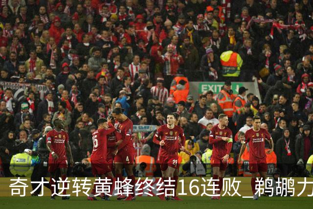 奇才逆转黄蜂终结16连败 鹈鹕力克76人3连胜